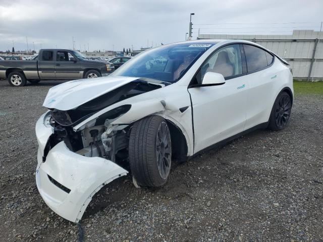 2023 TESLA MODEL Y  2023 image