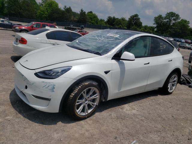 2022 TESLA MODEL Y  2022 image