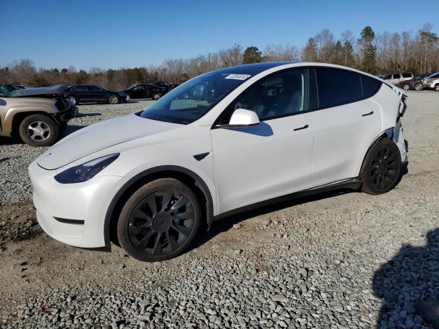 Image 1 of 2023 TESLA MODEL Y  2023 with VIN 7SAYGDEE4PF675973