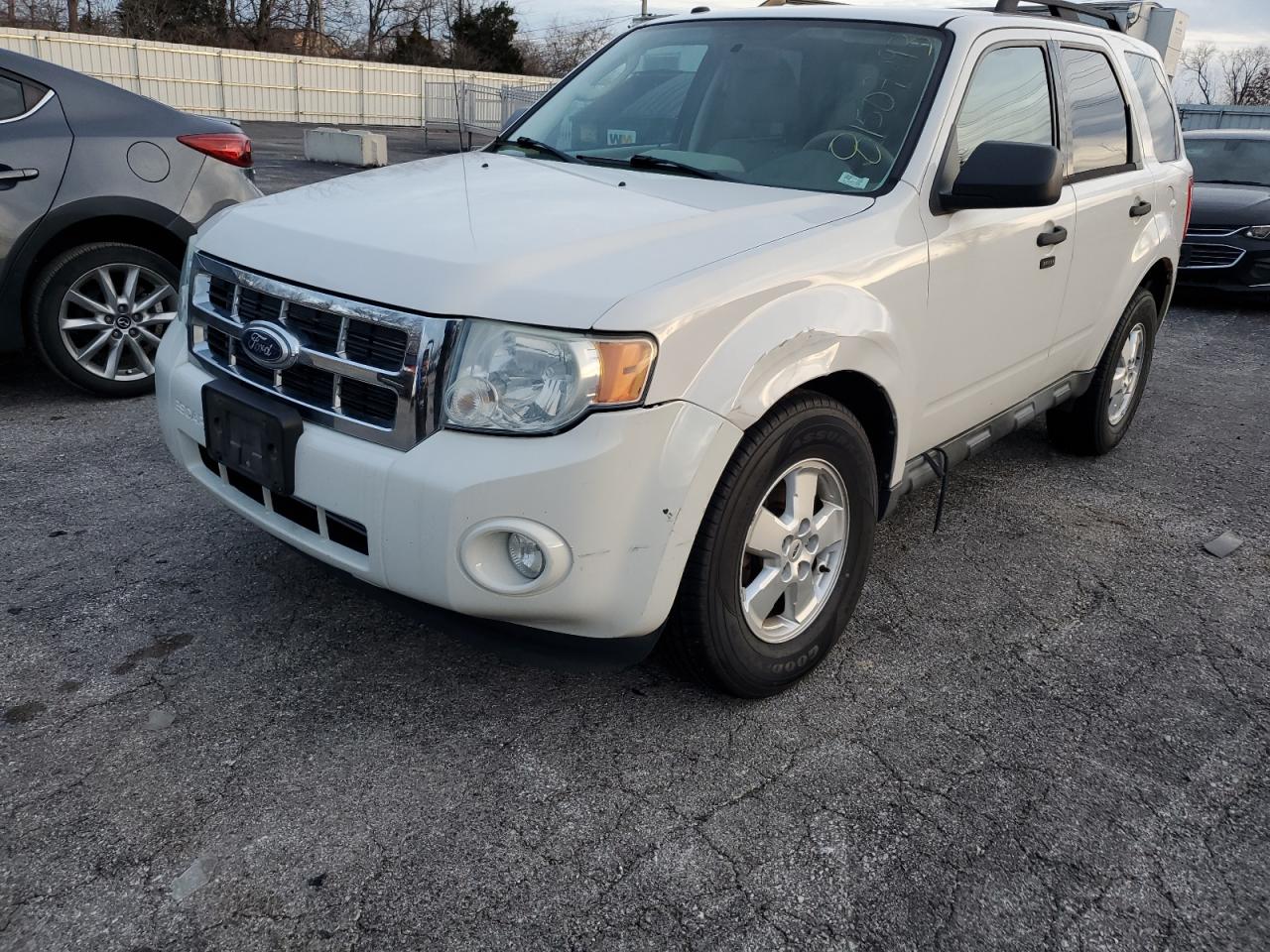 2010 FORD ESCAPE XLT 2010 image