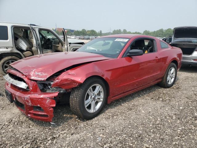 Obraz 1 z 2013 FORD MUSTANG  2013 z VIN 1ZVBP8AMXD5278642