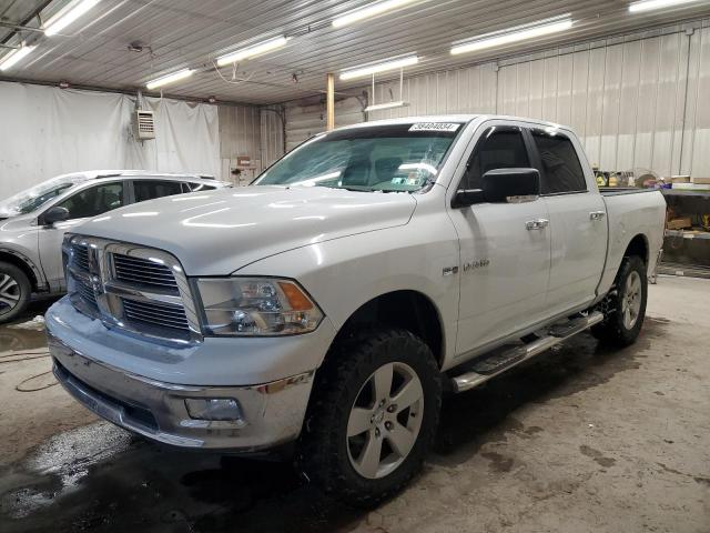 Obraz 2010 DODGE RAM 1500  2010