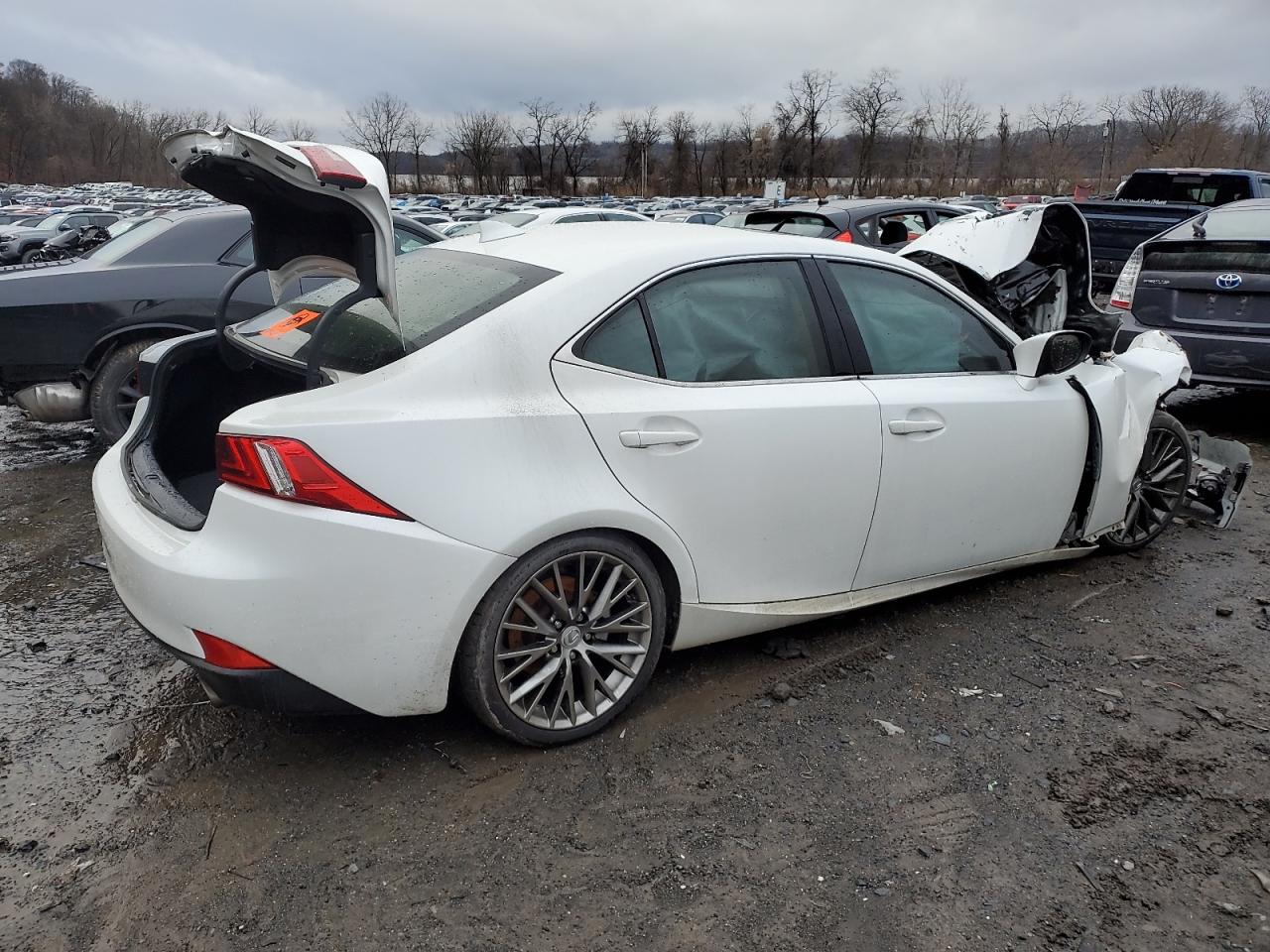 Image 3 of 2014 LEXUS IS 250 2014 with VIN JTHCF1D20E5013711