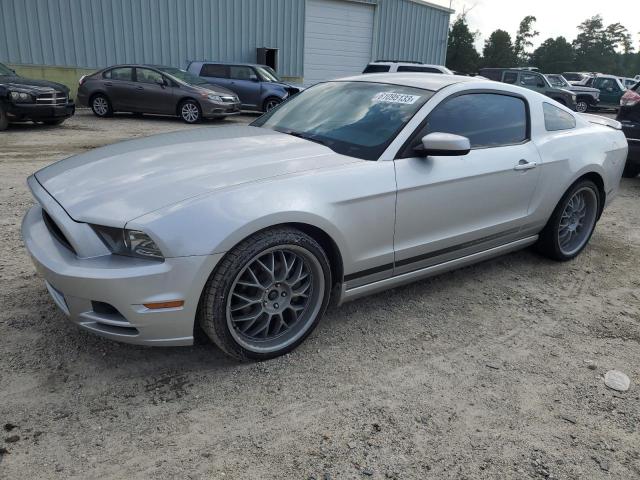 Obraz 1 z 2013 FORD MUSTANG  2013 z VIN 1ZVBP8AM9D5231263
