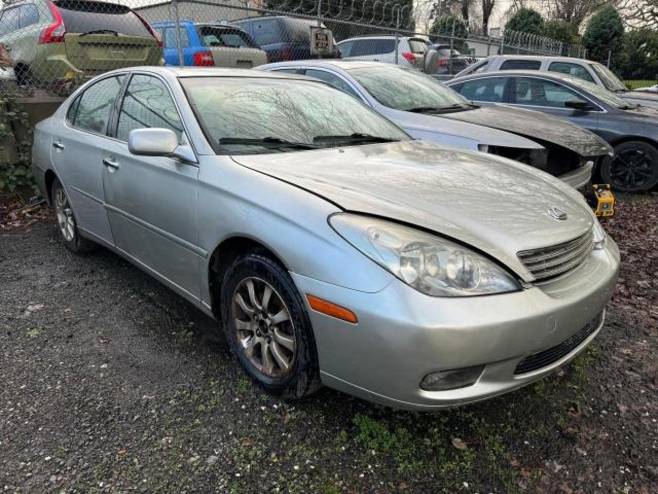 2004 LEXUS ES 330 2004 image