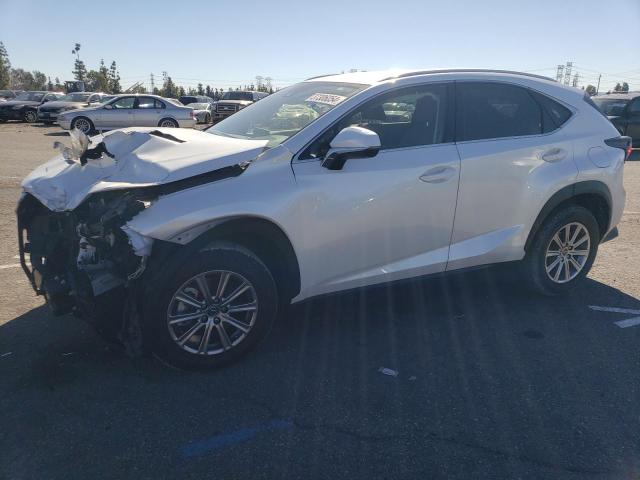 Image 1 of 2021 LEXUS NX 300 BASE 2021 with VIN JTJDARBZXM5023449