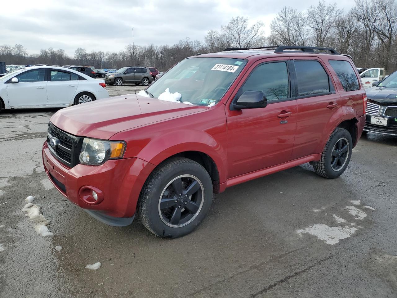 2012 FORD ESCAPE XLT 2012 image