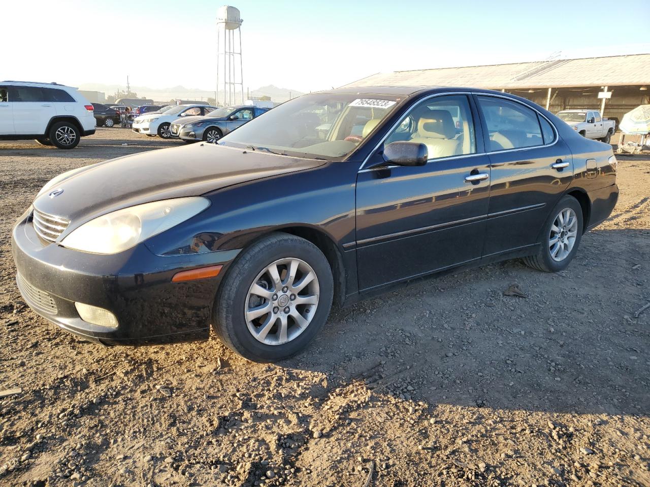 Obraz 2003 LEXUS ES 300 2003