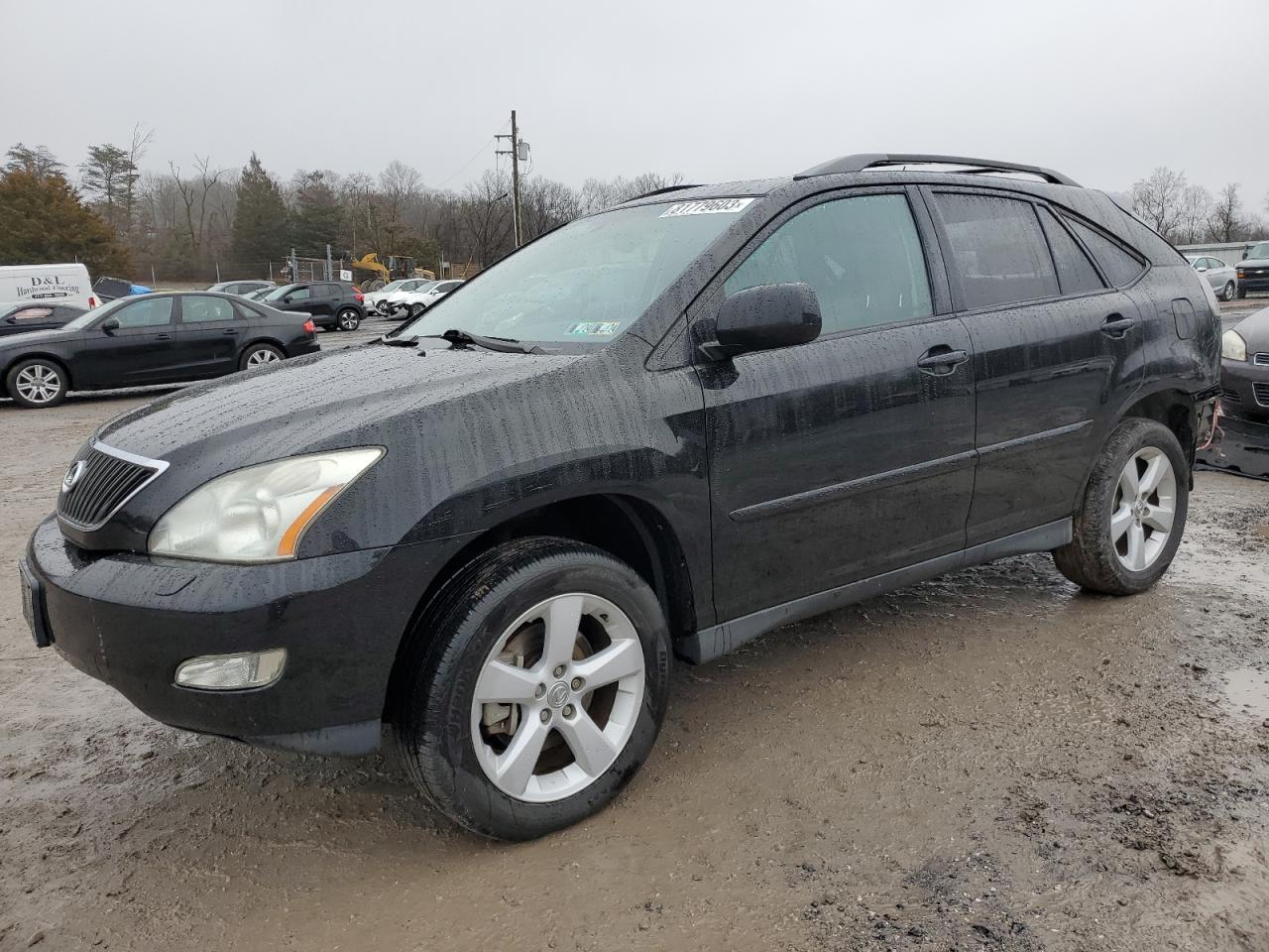 Obraz 2006 LEXUS RX 330 2006