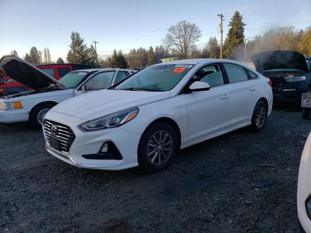 2019 HYUNDAI SONATA SE 2019 image