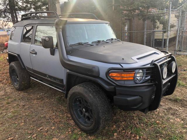 Obraz 2007 TOYOTA FJ CRUISER  2007