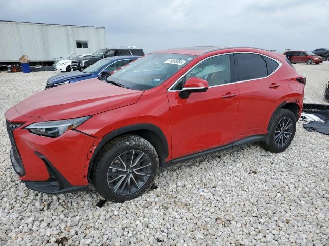 2024 LEXUS NX 250 PREMIUM 2024 image