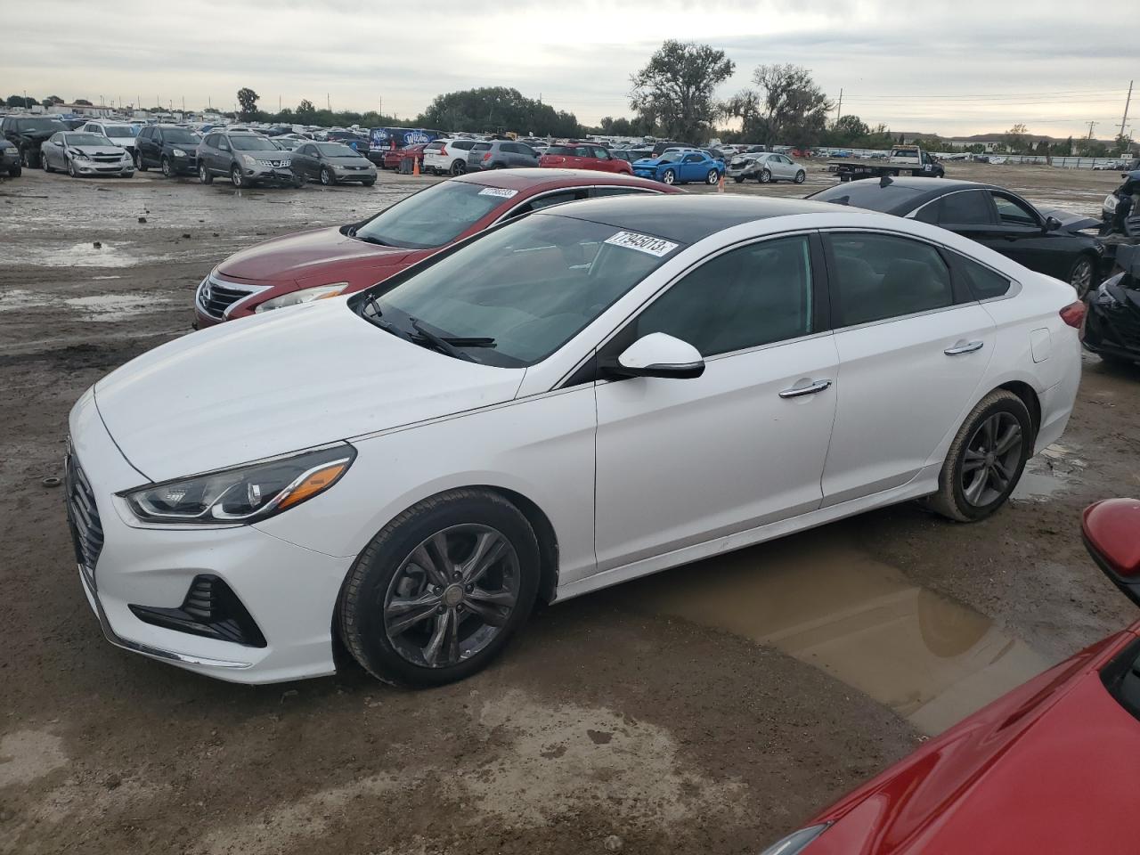 Изображение 1 2018 HYUNDAI SONATA SPORT 2018 с VIN 5NPE34AF9JH689094