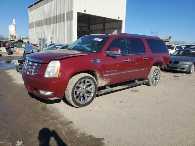 2009 CADILLAC ESCALADE ESV LUXURY 2009 image