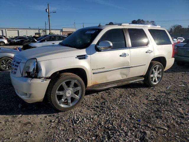 Obraz 2007 CADILLAC ESCALADE LUXURY 2007