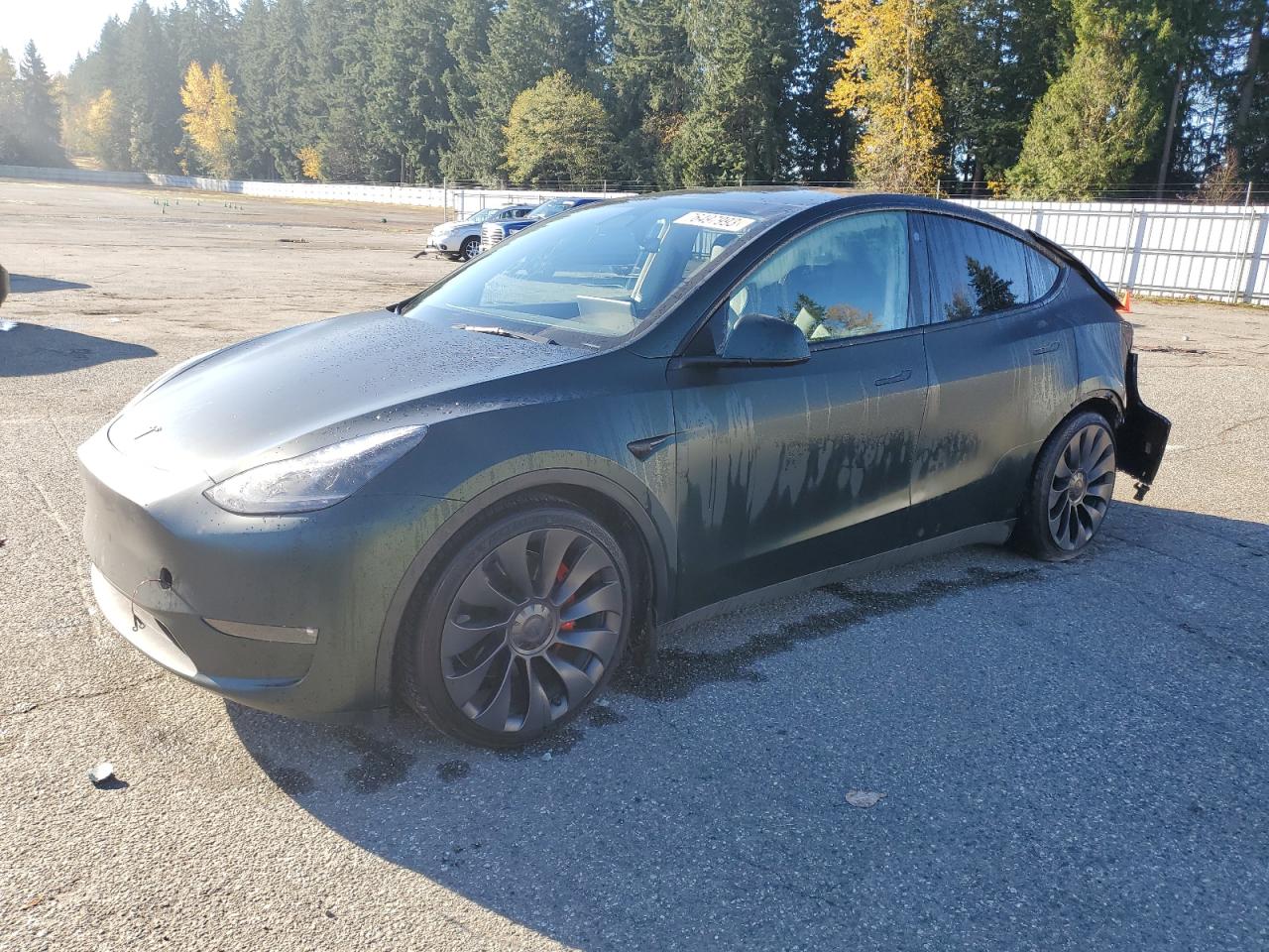 2022 TESLA MODEL Y  2022 image