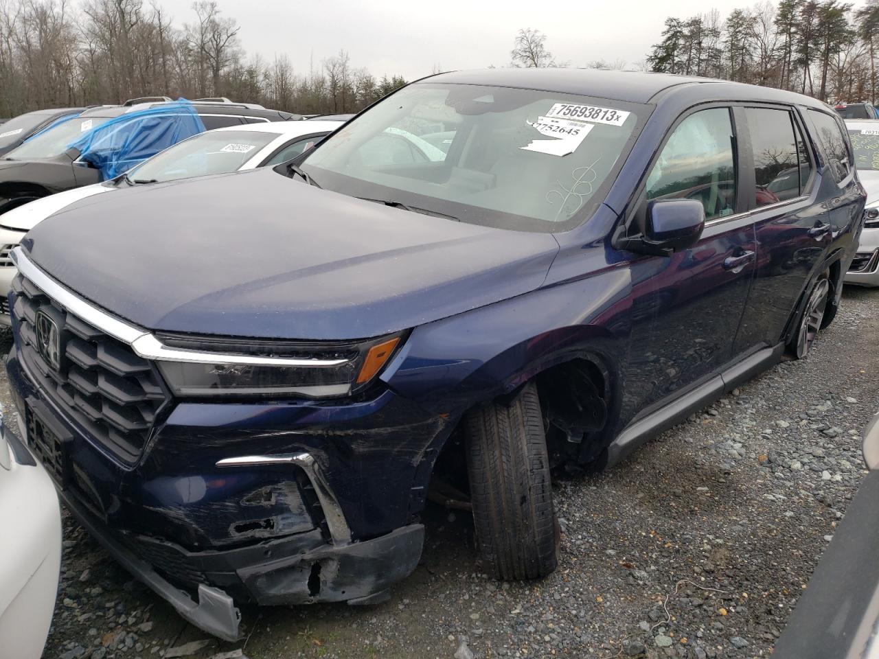 2023 HONDA PILOT EXL 2023 image
