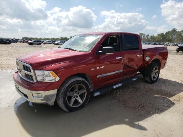 Obraz 2009 DODGE RAM 1500  2009