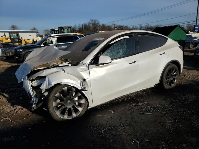 2023 TESLA MODEL Y  2023 image