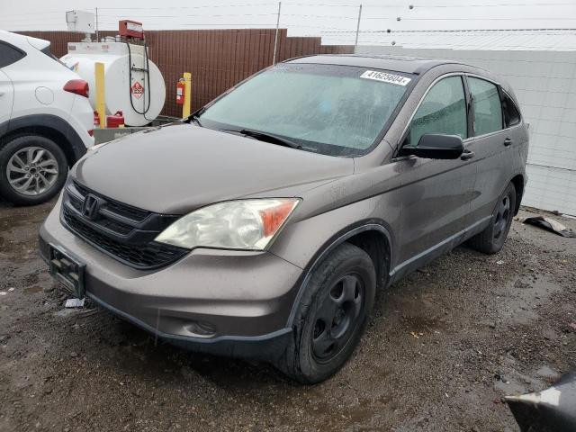 Image 1 of 2010 HONDA CR-V LX 2010 with VIN 5J6RE4H36AL063256
