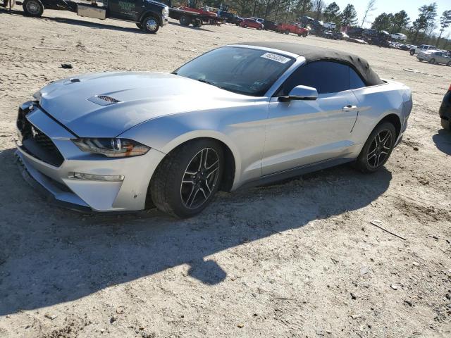 2019 FORD MUSTANG  2019 image
