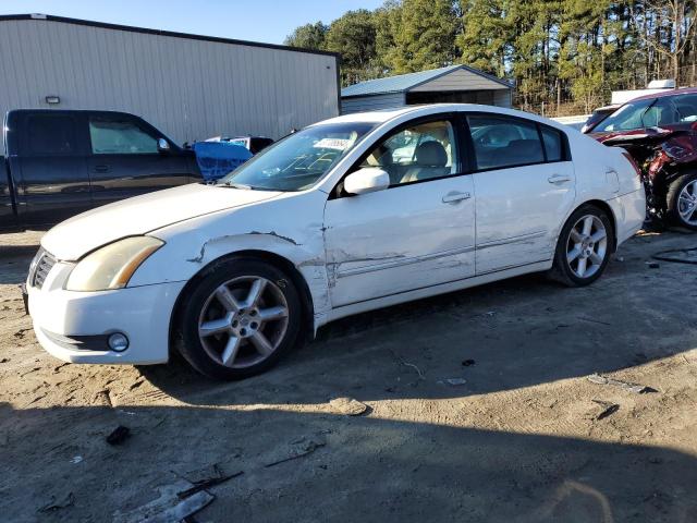 2004 NISSAN MAXIMA SE 2004 image