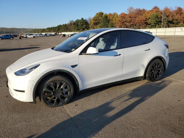 2021 TESLA MODEL Y  2021 image