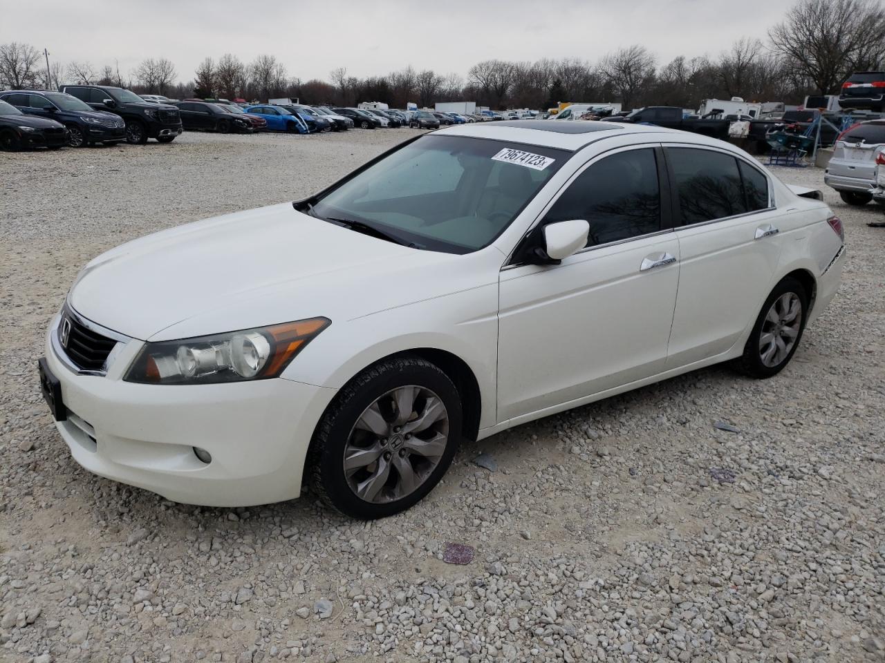 Obraz 1 z 2008 HONDA ACCORD EXL 2008 z VIN 1HGCP36888A069498