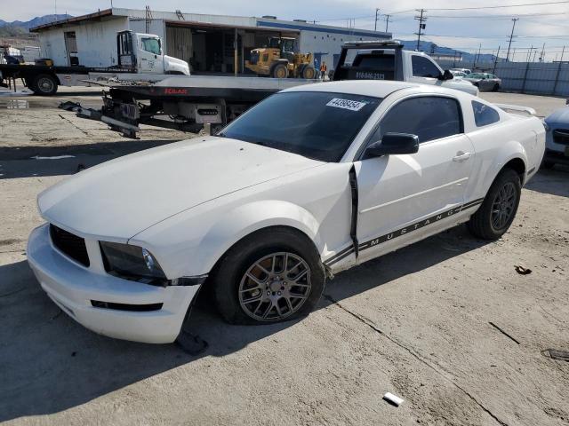 2006 FORD MUSTANG  2006 image
