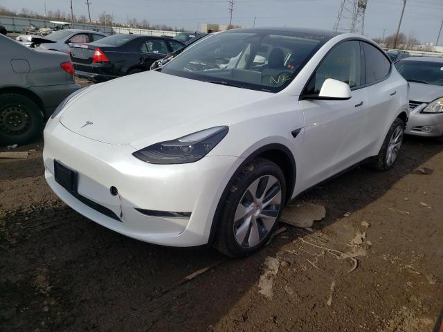 2023 TESLA MODEL Y  2023 image
