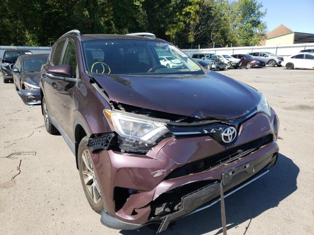 Image 1 of 2016 TOYOTA RAV4 XLE 2016 with VIN 2T3RFREV0GW510160