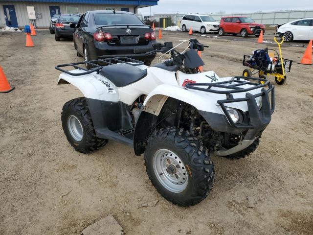 Изображение 2009 HONDA TRX250 TE 2009