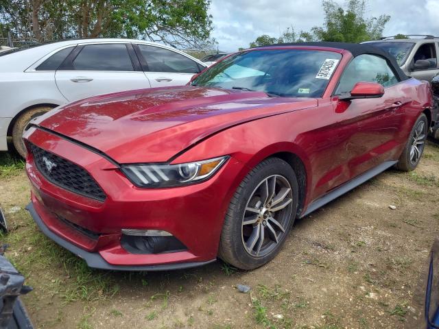 2017 FORD MUSTANG  2017 image