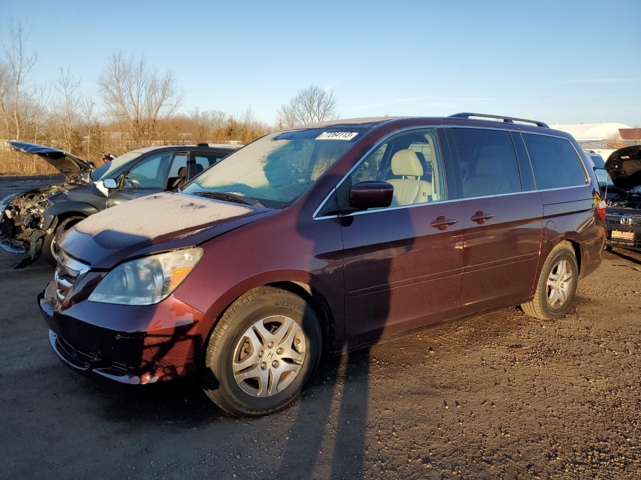 2007 HONDA ODYSSEY EXL 2007 image