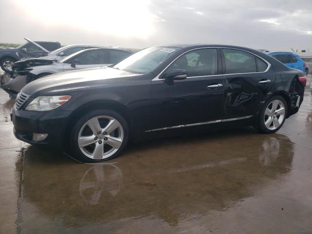 2010 LEXUS LS 460 2010 image