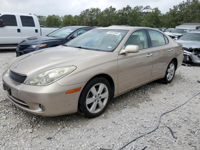 2006 LEXUS ES 330 2006 image