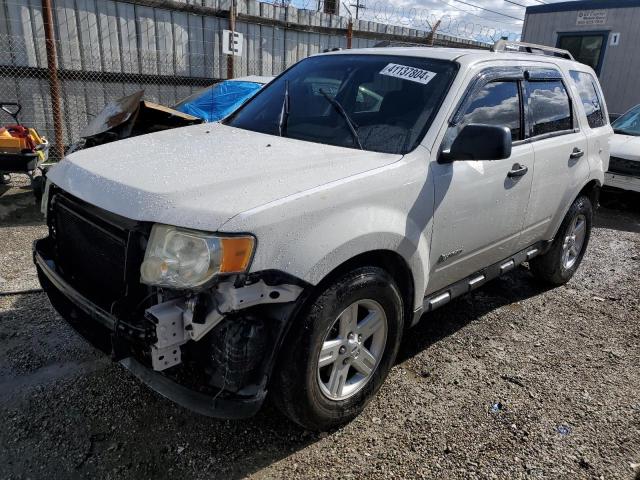 2009 FORD ESCAPE HYBRID 2009 image