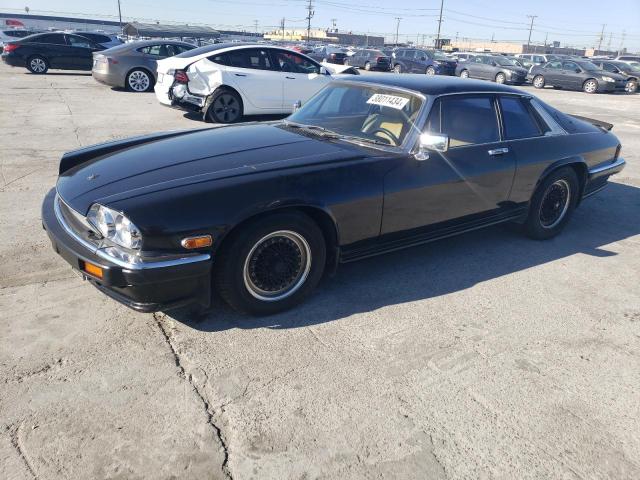 1985 JAGUAR XJS  1985 image