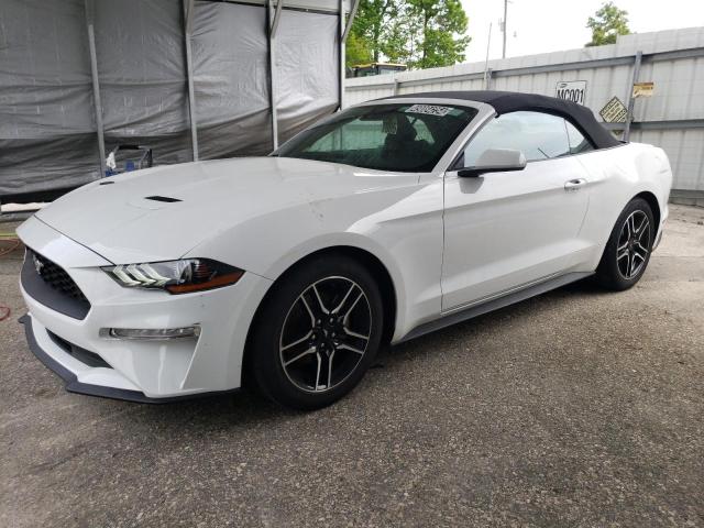 2023 FORD MUSTANG  2023 image