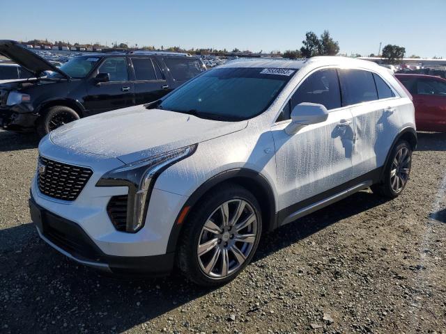 2019 CADILLAC XT4 PREMIUM LUXURY 2019 image