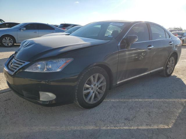 Obraz 2010 LEXUS ES 350 2010