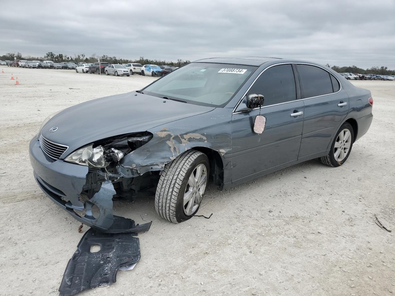 Obraz 1 z 2006 LEXUS ES 330 2006 z VIN JTHBA30G465167248