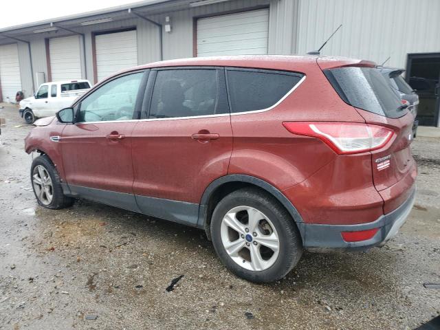 Изображение 2 2014 FORD ESCAPE SE 2014 с VIN 1FMCU0GXXEUC38177