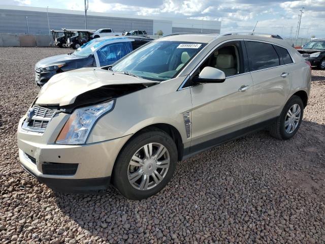 2011 CADILLAC SRX LUXURY COLLECTION 2011 image