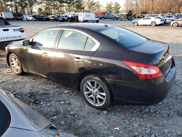 Image 2 of 2010 NISSAN MAXIMA S 2010 with VIN 1N4AA5AP6AC837478