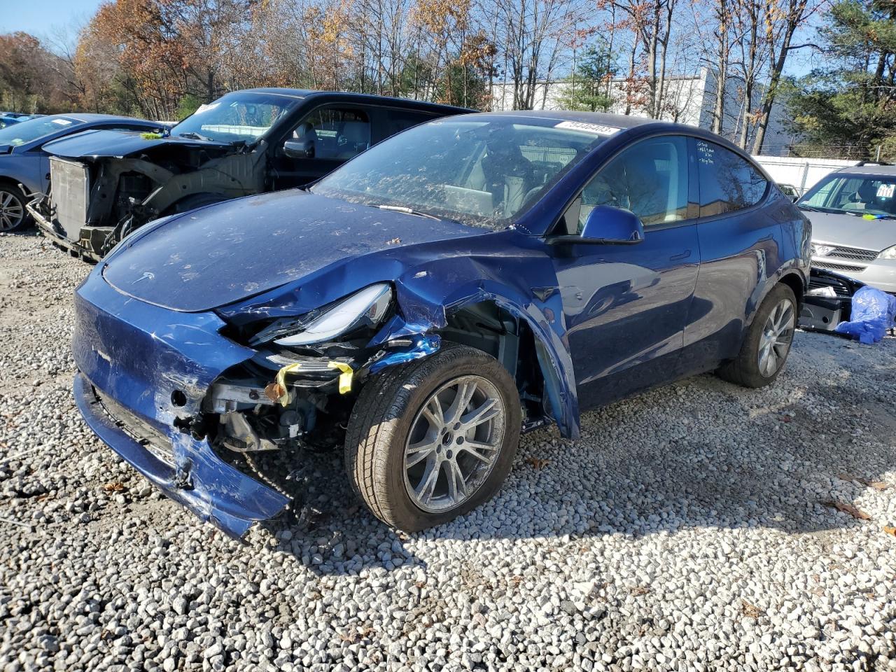 2023 TESLA MODEL Y  2023 image