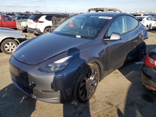 2023 TESLA MODEL Y  2023 image