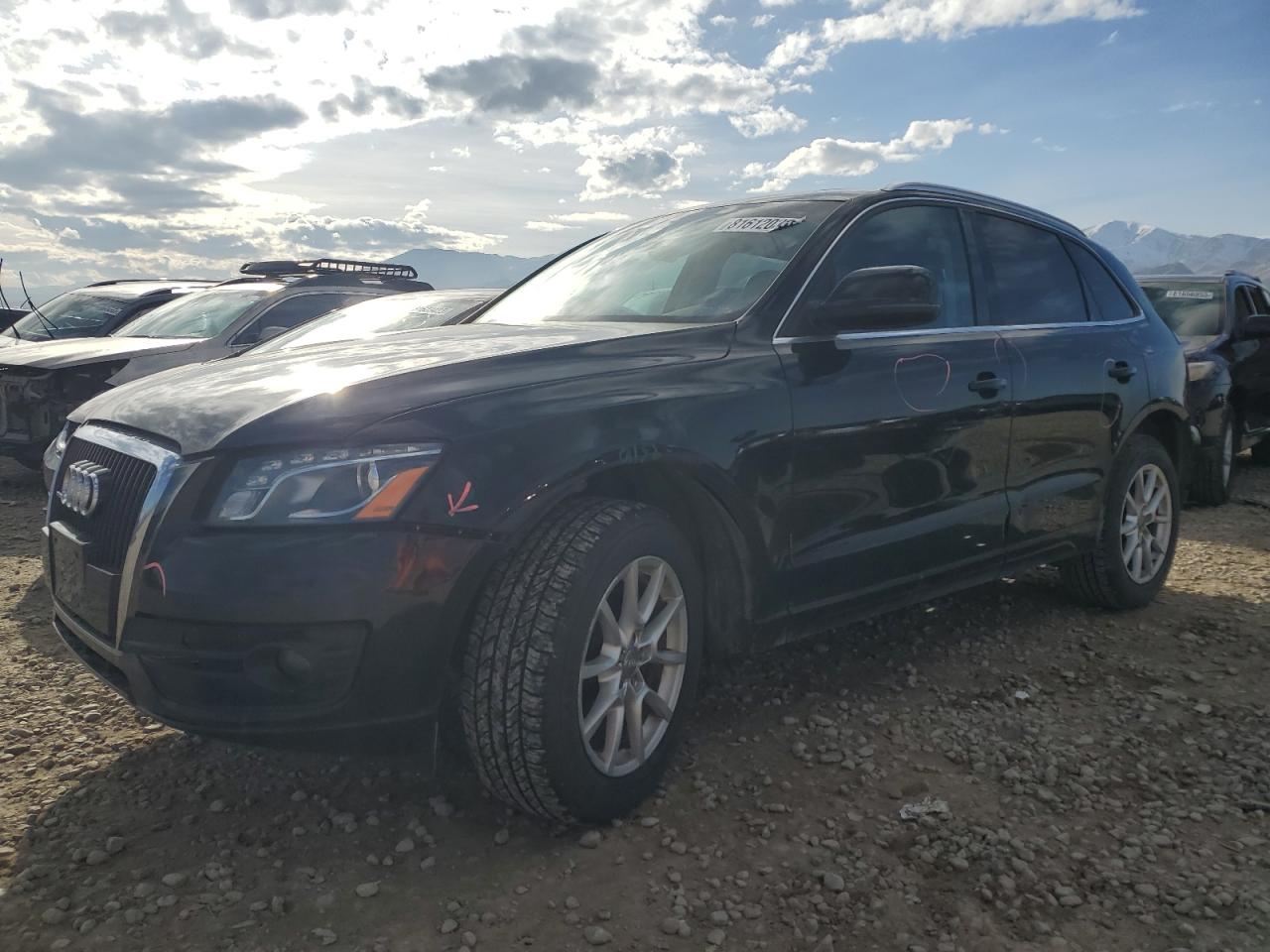 Image 1 of 2010 AUDI Q5 PREMIUM PLUS 2010 with VIN WA1LKAFP8AA056453