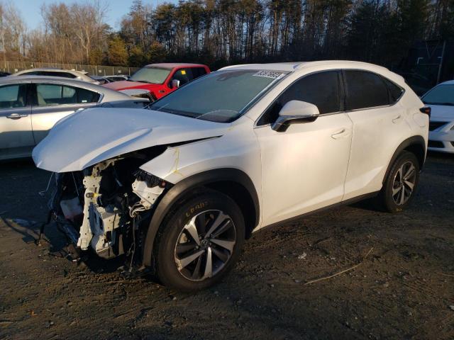 2020 LEXUS NX 300 2020 image