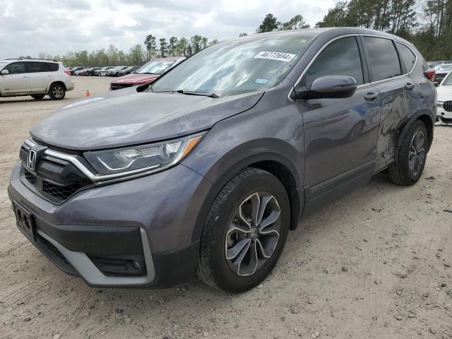2022 HONDA CR-V EXL 2022 image